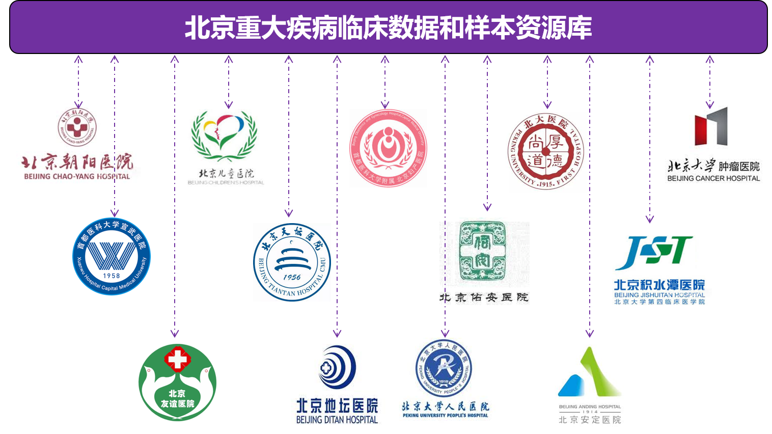 合作单位